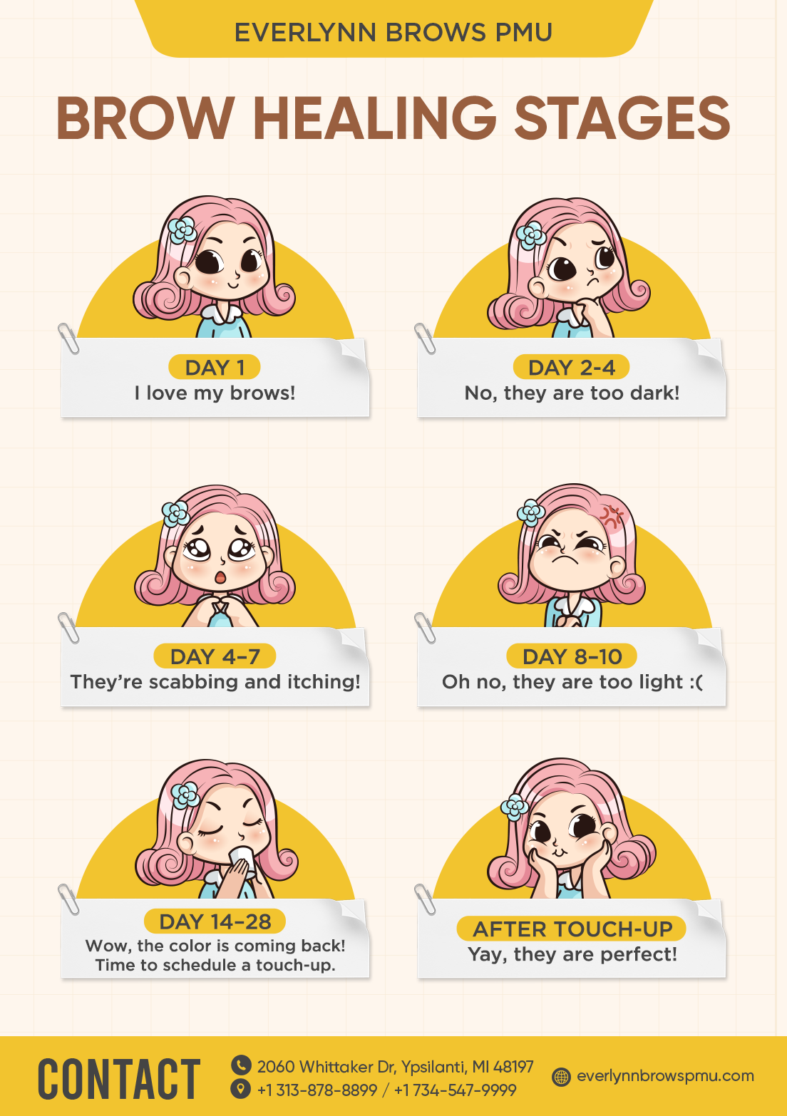 Brow Healing Stages - Day by day guide showing what to expect during the healing process from day 1 to touch-up